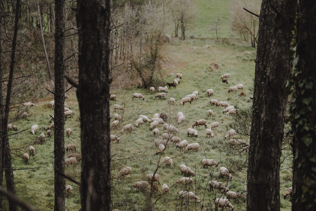 TERRITORI-47